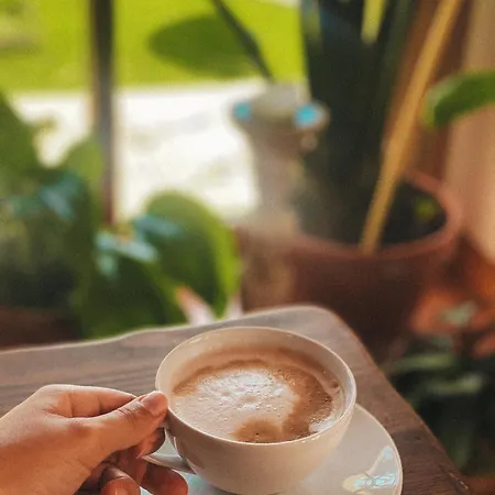 Quinta Amarela بيت ضيافة