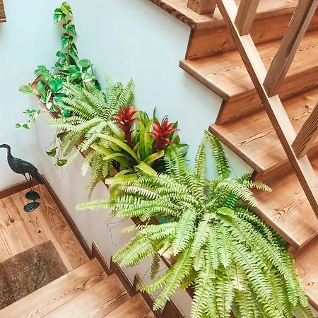 Quinta Amarela بيت ضيافة