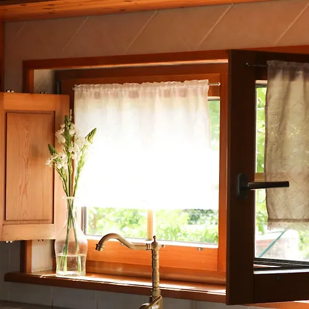 Quinta Amarela 4* نازاريه