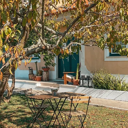 بيت ضيافة Quinta Amarela نازاريه