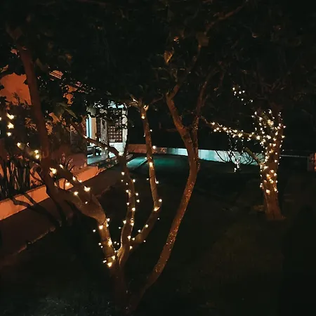 Quinta Amarela בית הארחה 4*