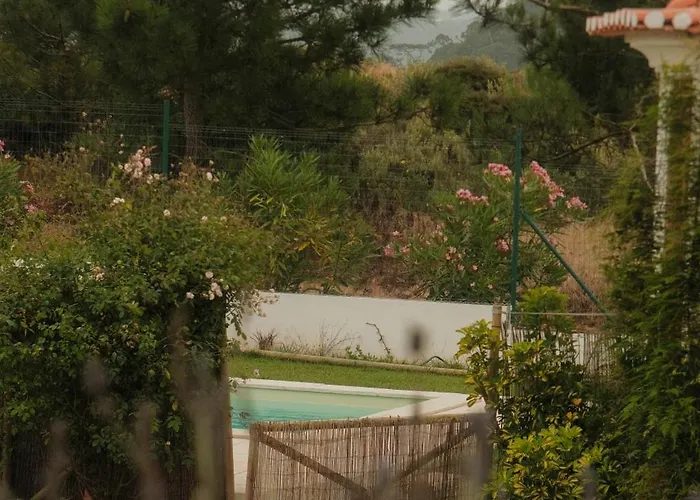 招待所 Quinta Amarela 纳扎雷