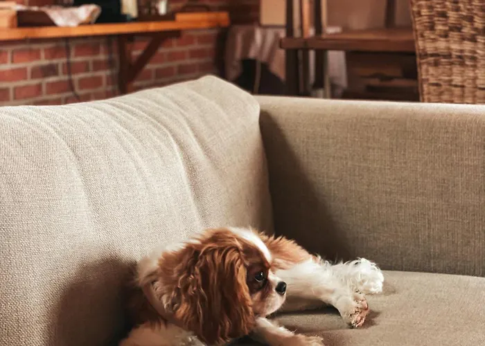 Quinta Amarela 招待所