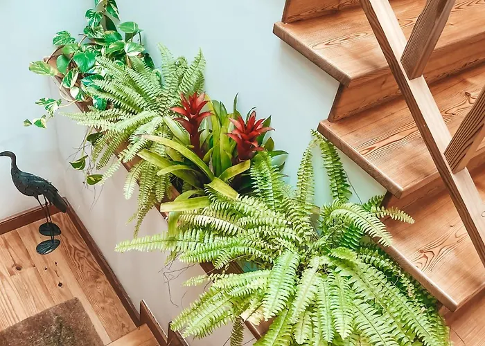 Quinta Amarela 招待所