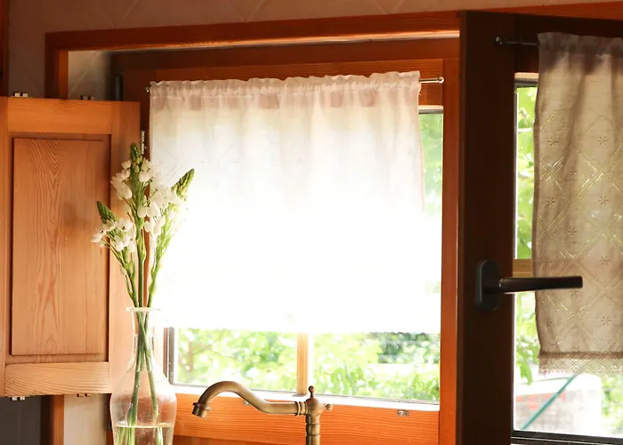 Quinta Amarela 4* 나자레